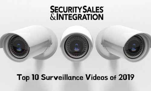 The Top 10 Surveillance Videos of 2019