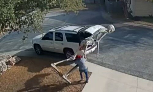 Top 9 Surveillance Videos of the Week: Woman Steals 12-Foot Tall Skeleton Decoration