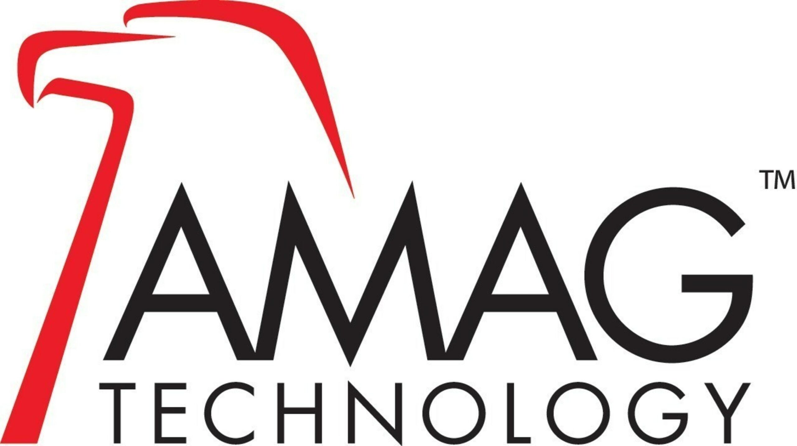 AMAG, AMAG Technology Financial Services