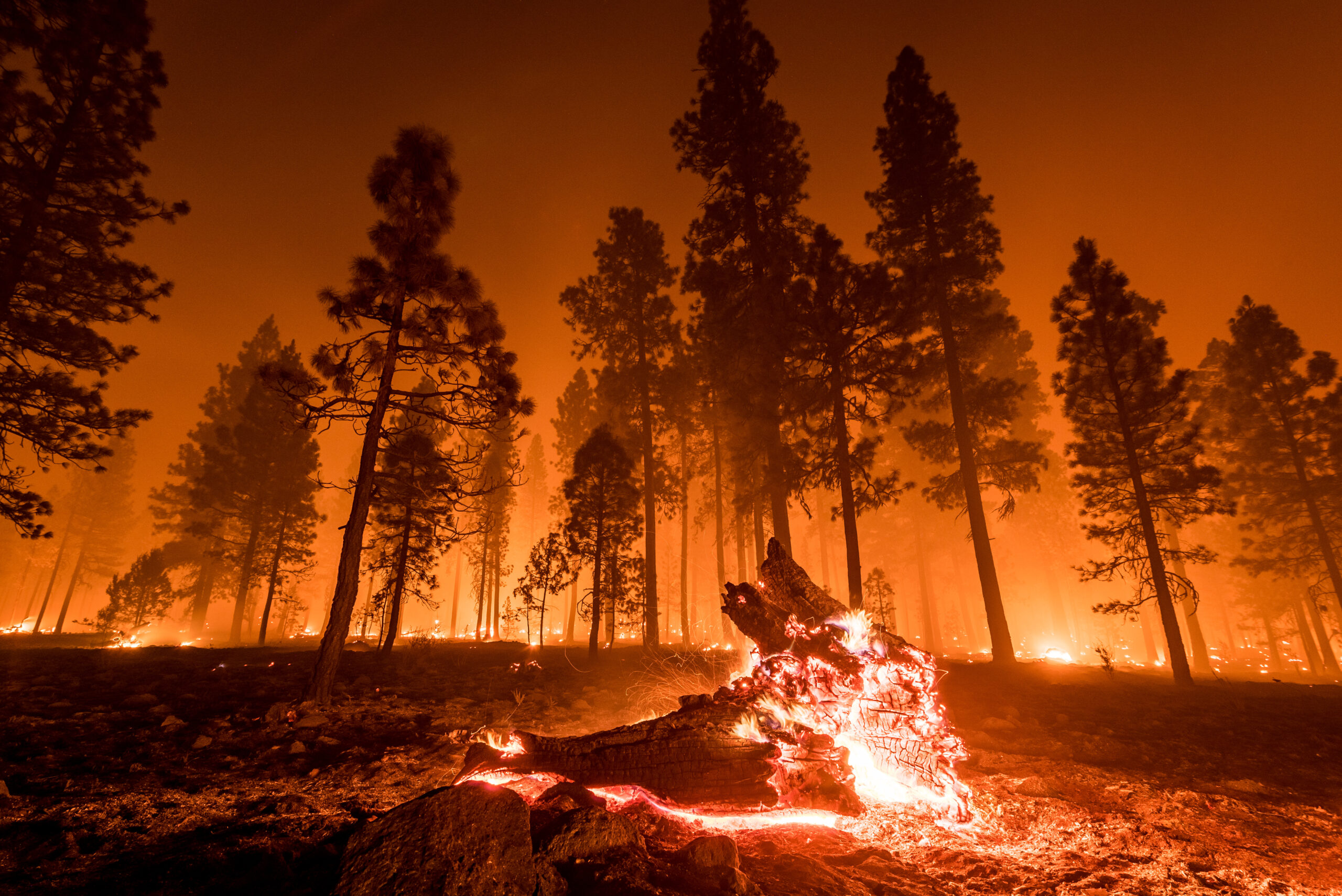 NFPA Wildfires